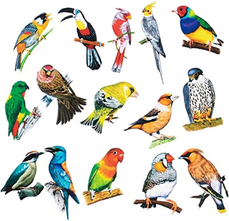 3d-art-crafts-birdswall-stickers-pack-of-8-pcs_PD6949