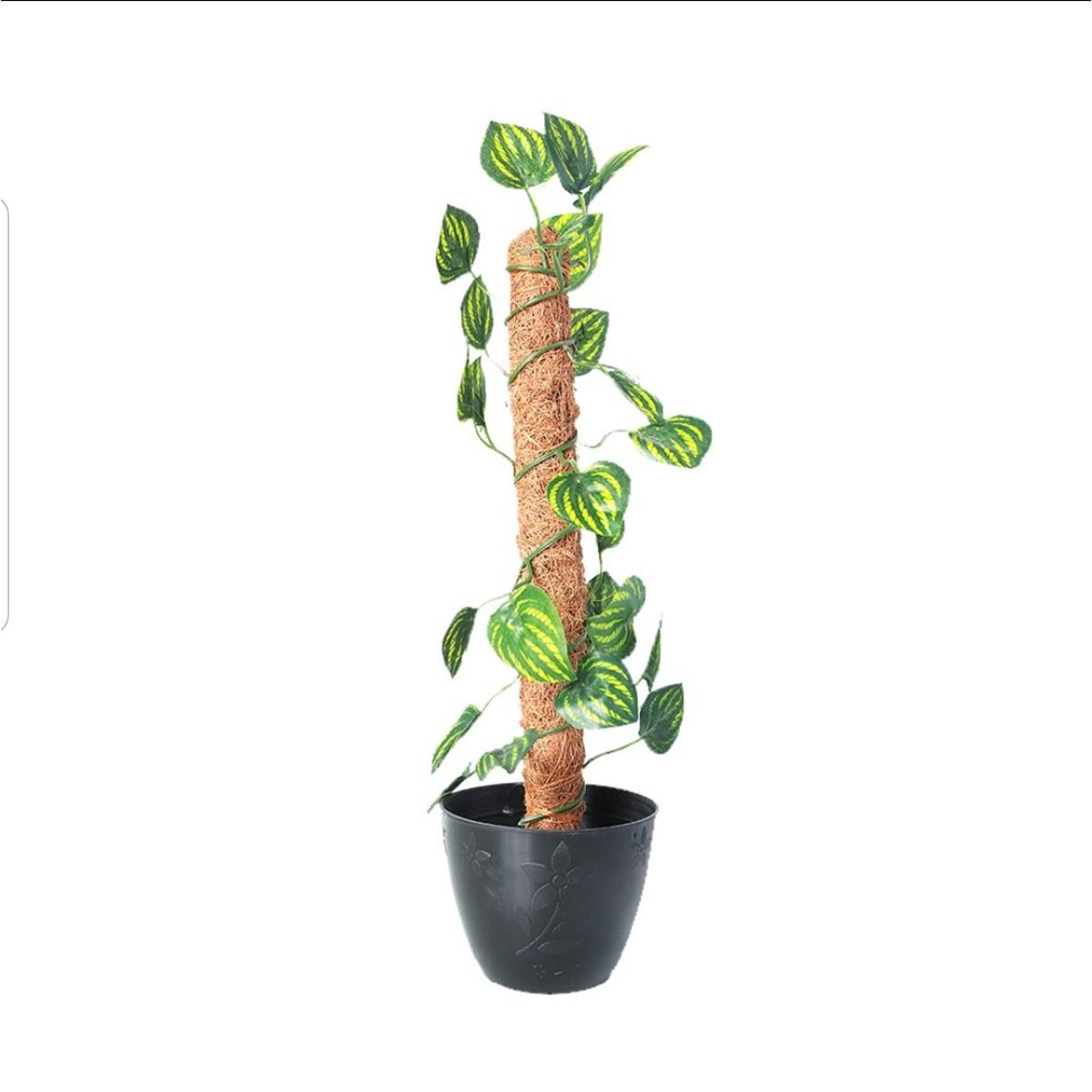 green-artificial-money-plant-leave-with-coconut-stick-decorative-plant_PD5344