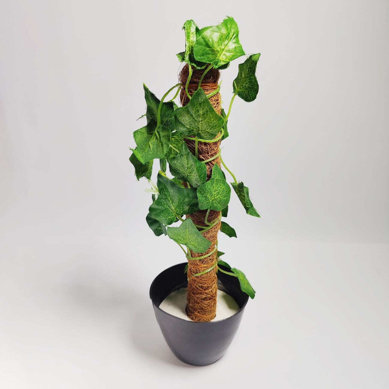 green-artificial-money-plant-leave-with-coconut-stick-decorative-plant_PD5344