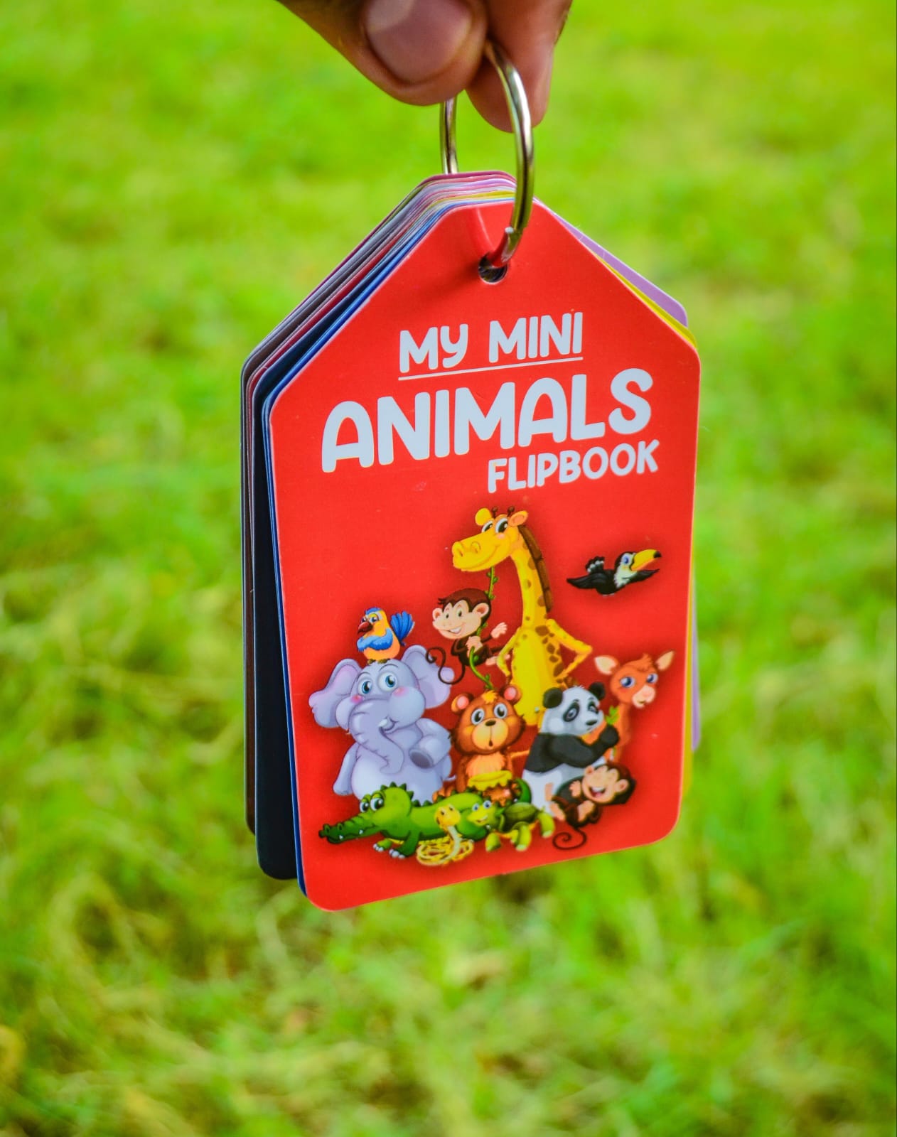 my-mini-animal-learning-flipbook-educational-cards-for-kids-pre-elementory-baby-learning-toys-kids-gift-pre-kindergarten_PD5876