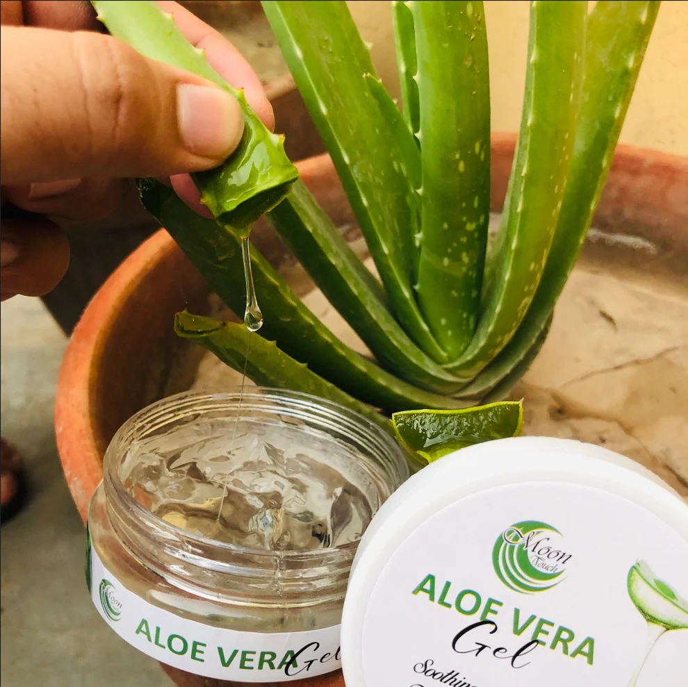 aloe-vera-gel-100g_PD4581