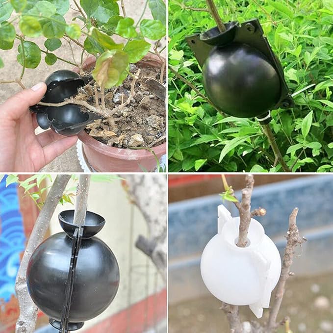 plant-root-growing-box-high-pressure-plant-rooting-ball-propagation-pods-for-plant-rooting-grafting-pack-of-2_PD1909