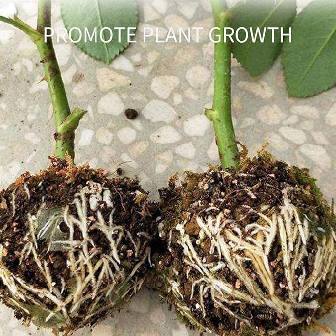 plant-root-growing-box-high-pressure-plant-rooting-ball-propagation-pods-for-plant-rooting-grafting-pack-of-2_PD1909