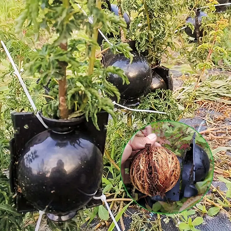 plant-root-growing-box-high-pressure-plant-rooting-ball-propagation-pods-for-plant-rooting-grafting-pack-of-2_PD1909