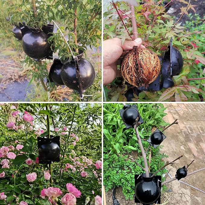plant-root-growing-box-high-pressure-plant-rooting-ball-propagation-pods-for-plant-rooting-grafting-pack-of-2_PD1909