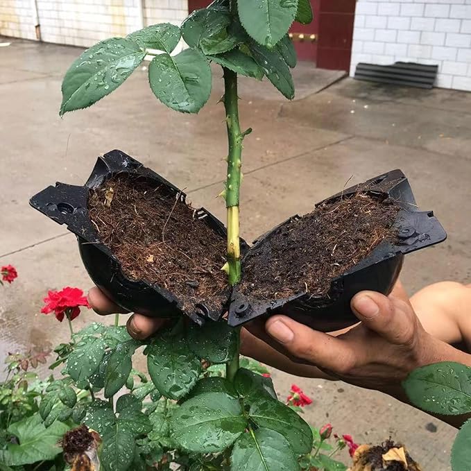 plant-root-growing-box-high-pressure-plant-rooting-ball-propagation-pods-for-plant-rooting-grafting-pack-of-2_PD1909