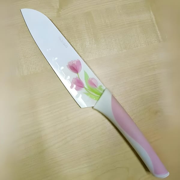 5-pieces-flower-coated-klasique-knives-set-high-quality_PD1948