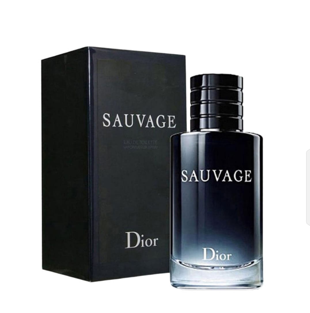 sauvage-dior-100ml-perfume-long-lasting-fragrance_PD8118