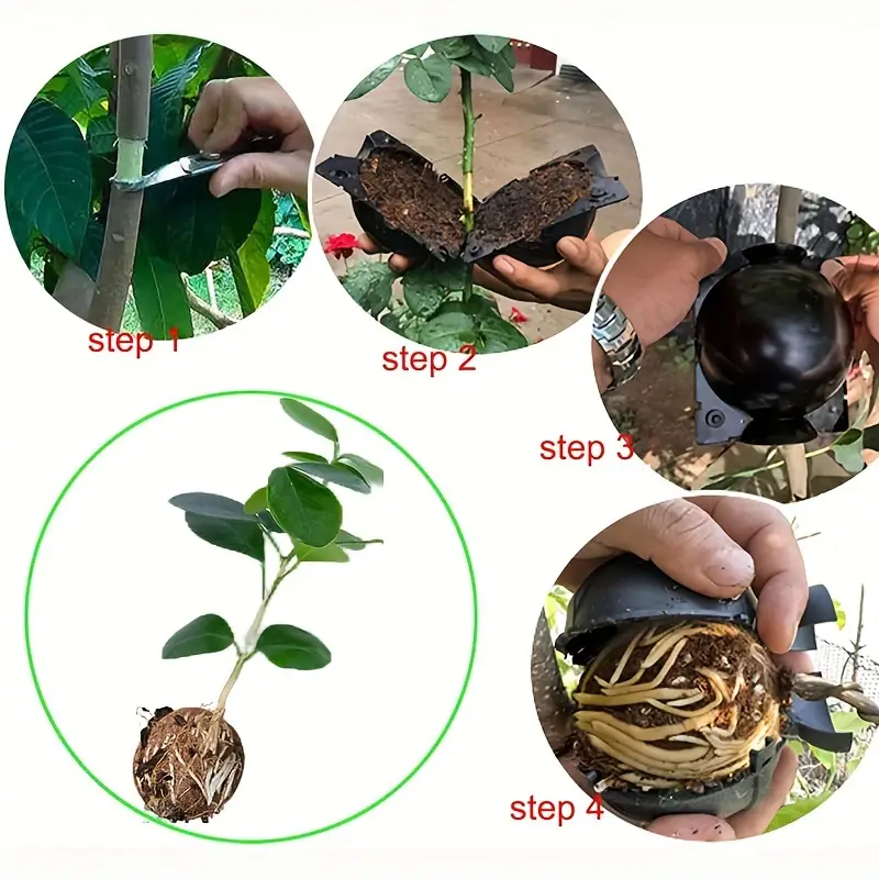 plant-root-growing-box-high-pressure-plant-rooting-ball-propagation-pods-for-plant-rooting-grafting-pack-of-2_PD1909