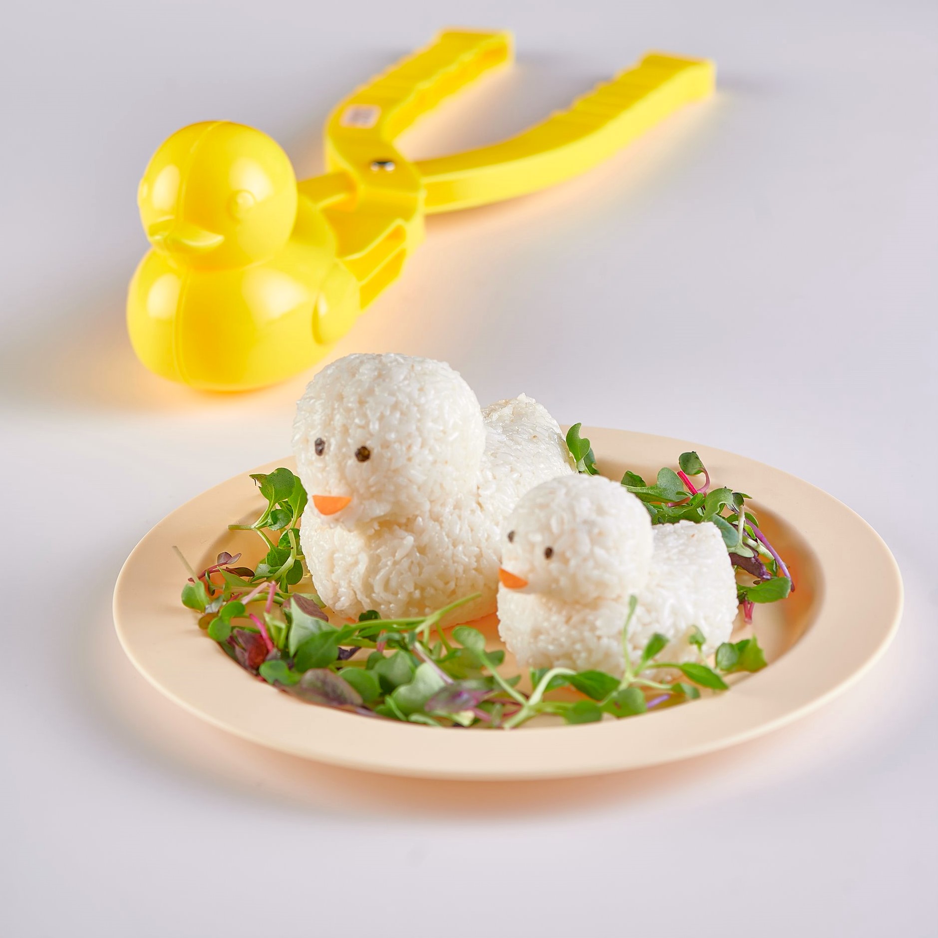 rice-molds-for-sushi-makingduck-rice-molding-tool_PD792