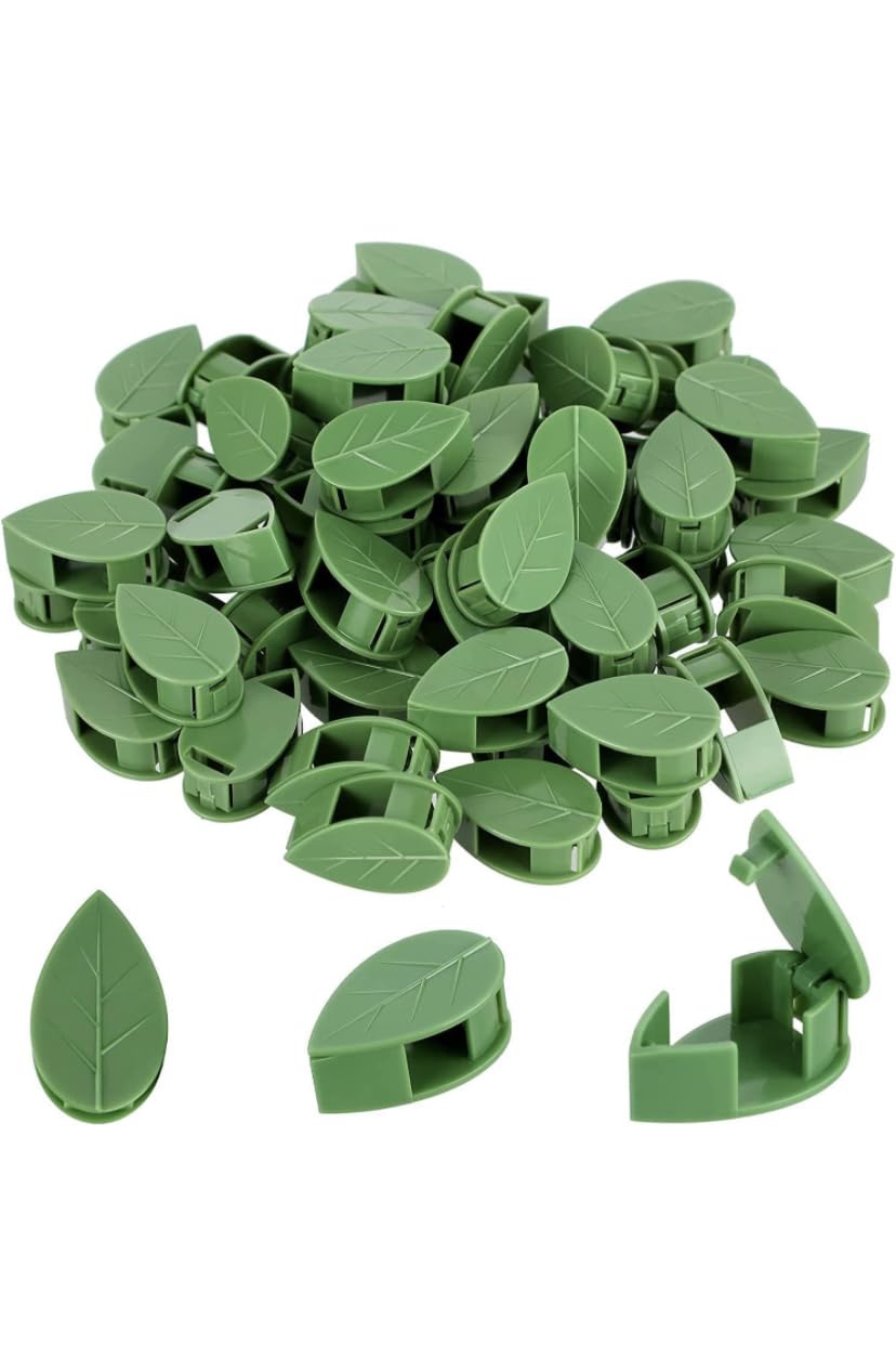 plant-climbing-clips-pack-of-30leaf-shape-wall-vine-climbing-clip-money-plant-support-hook-invisible-plant-climbing-wall-fixture-clips_PD802