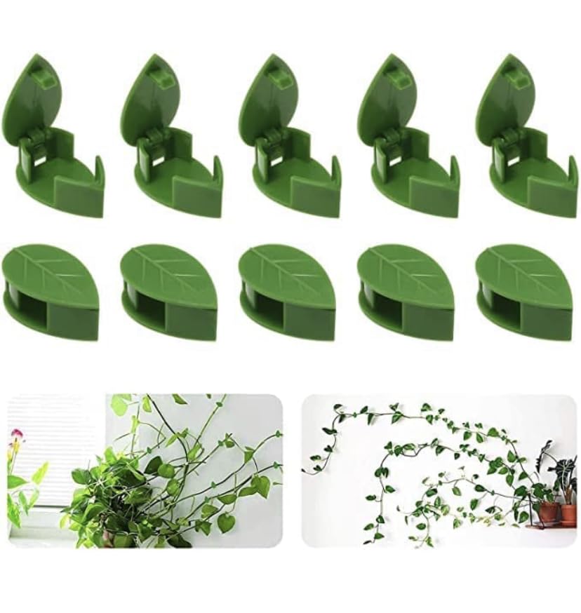 plant-climbing-clips-pack-of-30leaf-shape-wall-vine-climbing-clip-money-plant-support-hook-invisible-plant-climbing-wall-fixture-clips_PD802