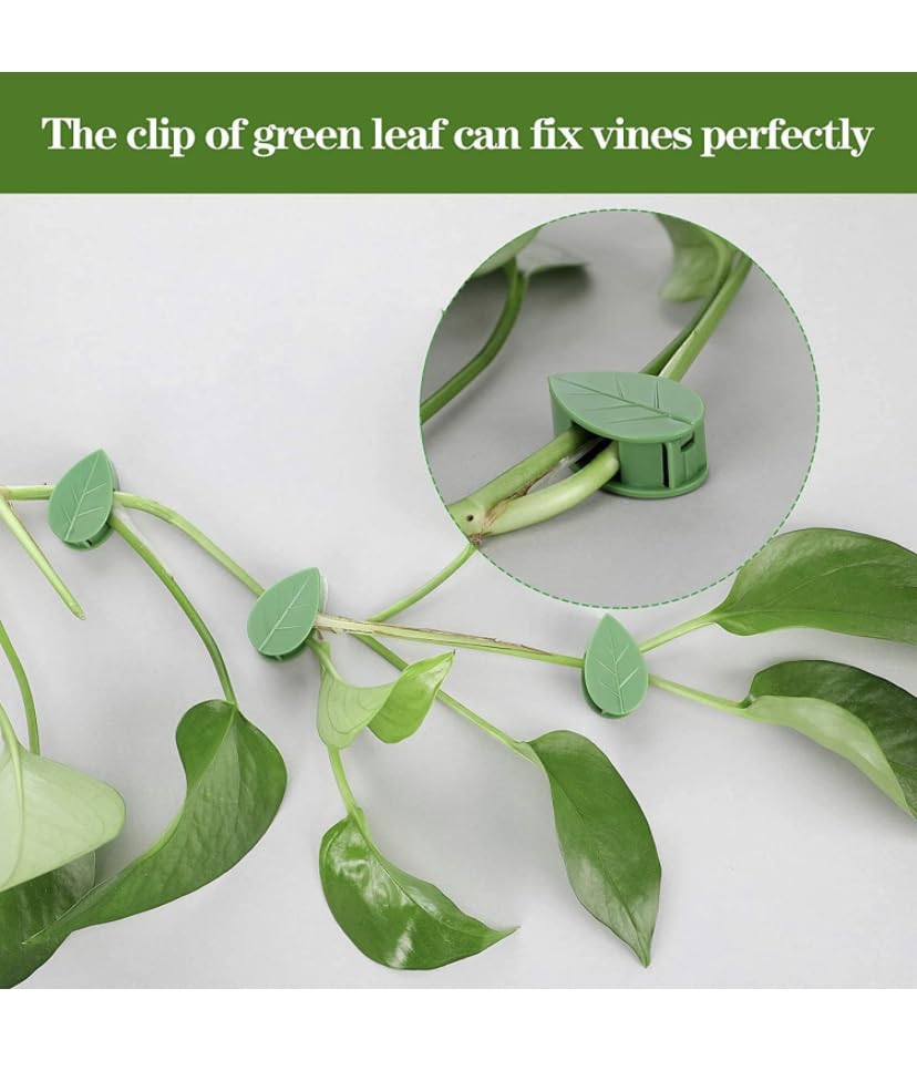 plant-climbing-clips-pack-of-30leaf-shape-wall-vine-climbing-clip-money-plant-support-hook-invisible-plant-climbing-wall-fixture-clips_PD802