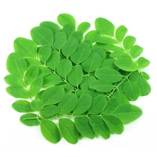 blossom-moringa-powder-moringa-powder-150gm_PD398