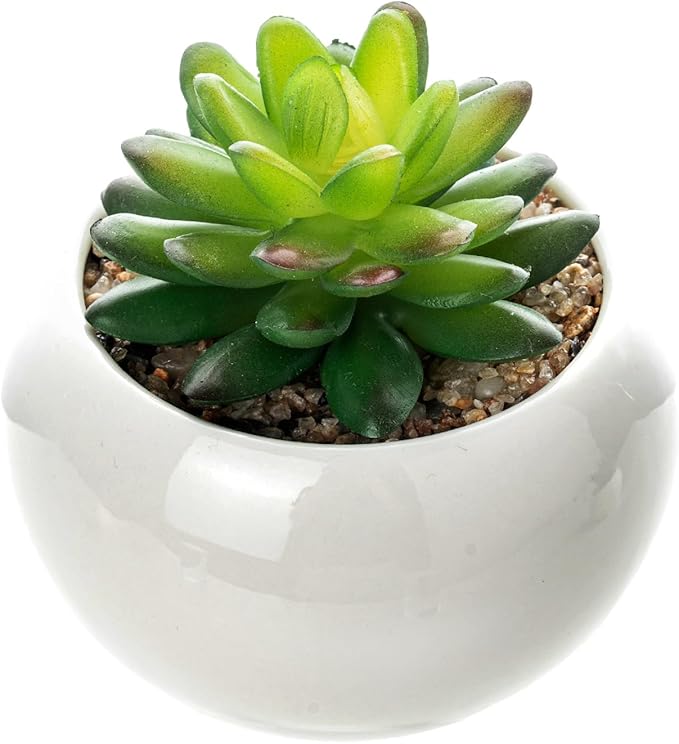 mini-plant-artificial-flowers-decoration-artificial-plants-ball-for-home-1-pc-round-shape_PD1804